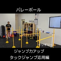 画像254